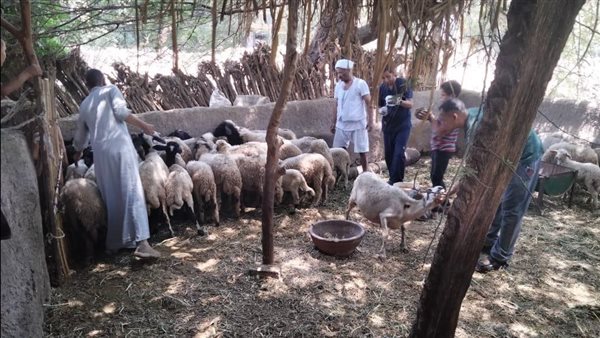 حملة التطعيم