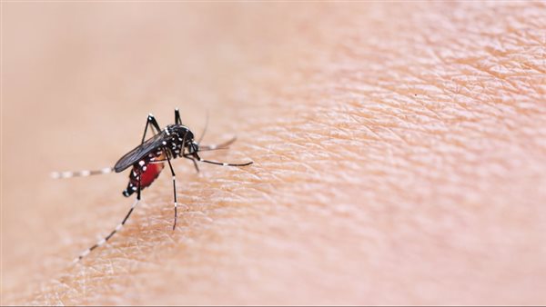 حمى النيل الغربي