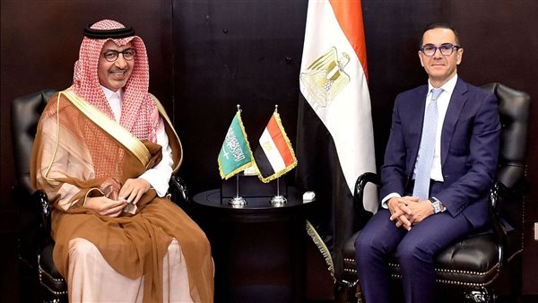 وزير الاستثمار و