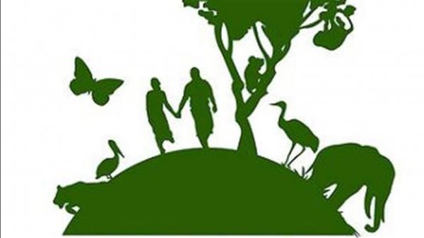 منظمة جرينبيس