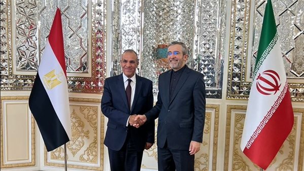 وزير الخارجية 