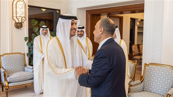 بدر عبد العاطي والوزير