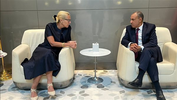 لقاء وزير الخارجية