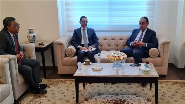 لقاء وزير قطاع الأعمال