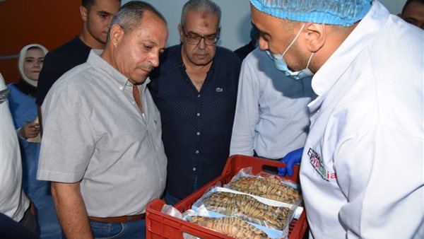 جانب من جولة محافظ