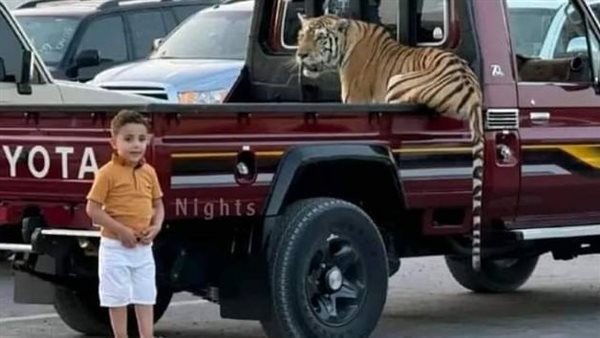 سالم منذر السعيطي