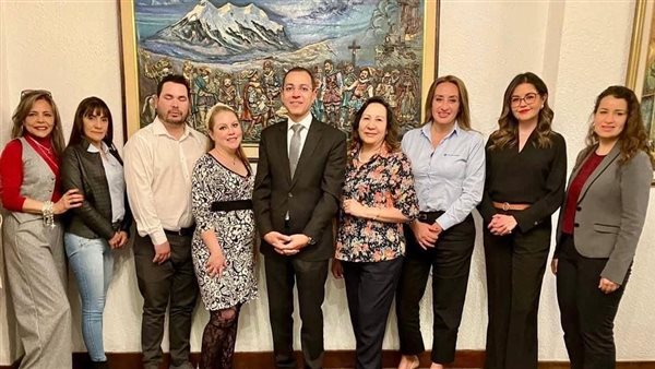 السفير المصري لدى