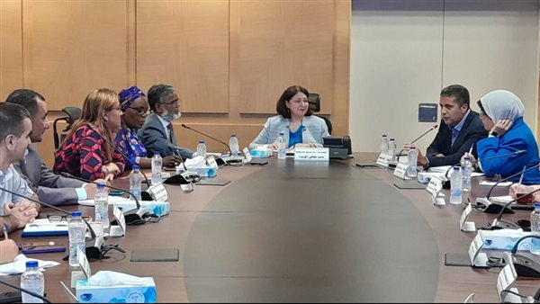 نائبة وزيرة التضامن