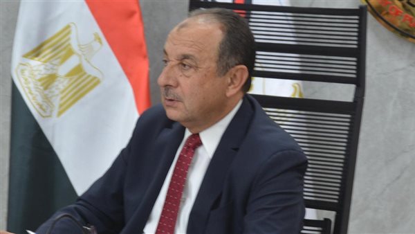 المهندس محمد شيمي