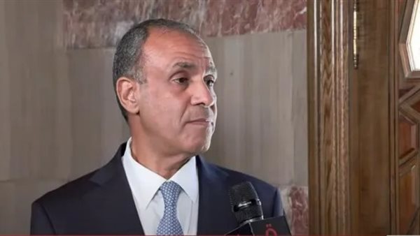 وزير الخارجية 