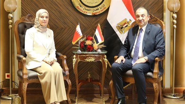 لقاء وزير قطاع الأعمال