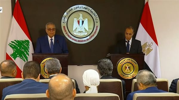 وزير الخارجية ونظيره