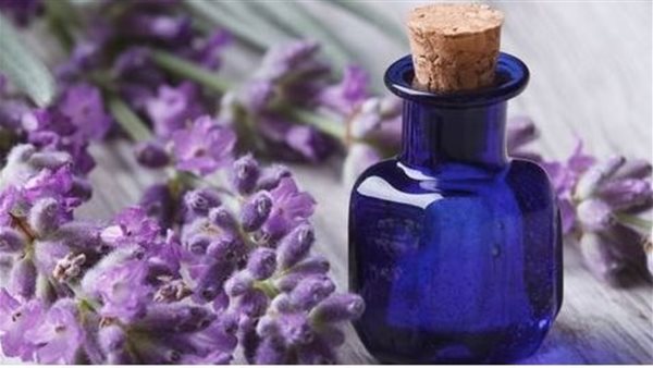 زبت اللافندر 