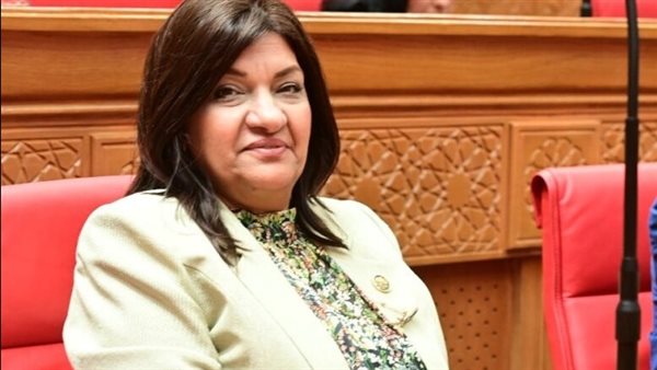  النائبة ايفلين متى