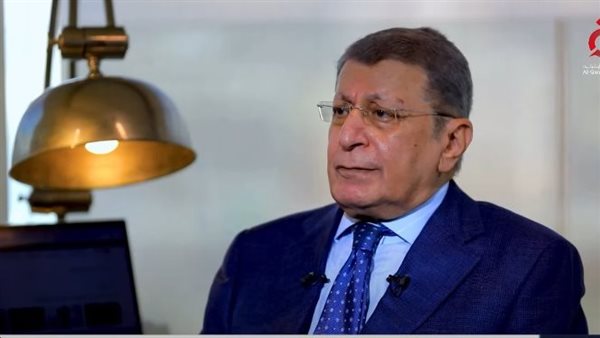 محمد أنيس سالم، سفير