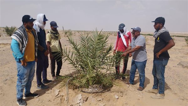 جانب من الجولة 