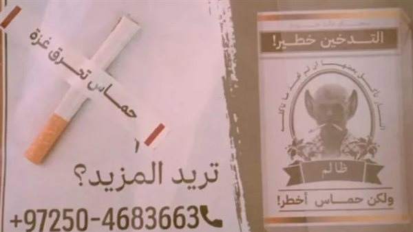 المنشورات