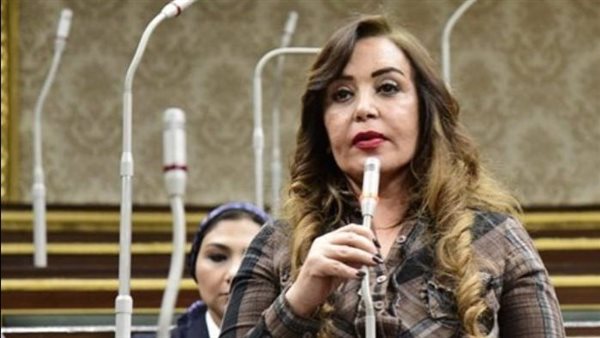  النائبة جيهان البيومي