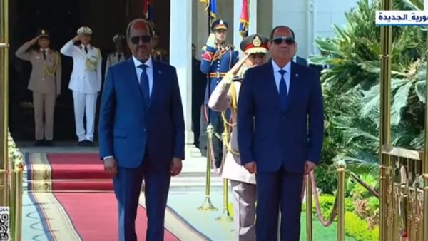 الرئيس السيسي والرئيس