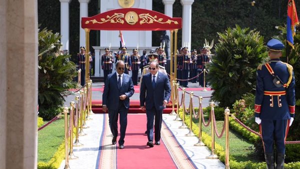 الرئيس السيسي ونظيره