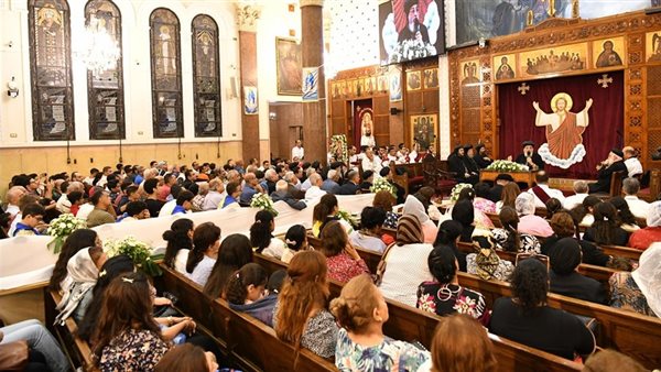 لقاء البابا تواضروس