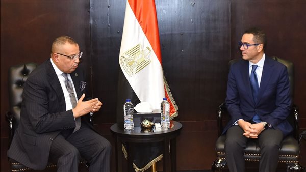 لقاء وزير الاستثمار