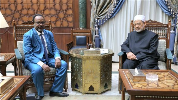 لقاء شيخ الأزهر 