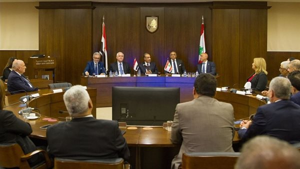 لقاء وزير الخارجية