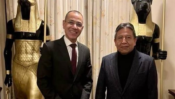 السفير المصري في