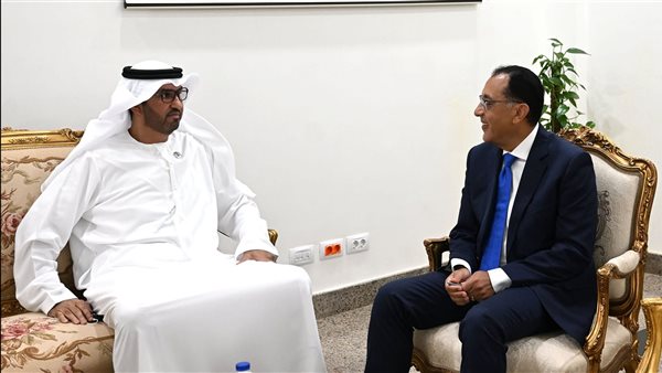 لقاء رئيس الوزراء