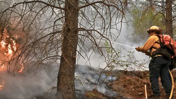 صورة ارشيفية