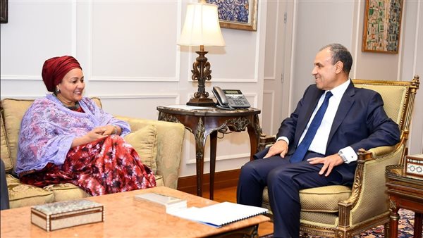 لقاء وزير الخارجية