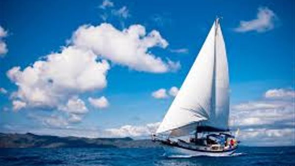  القارب الشراعي