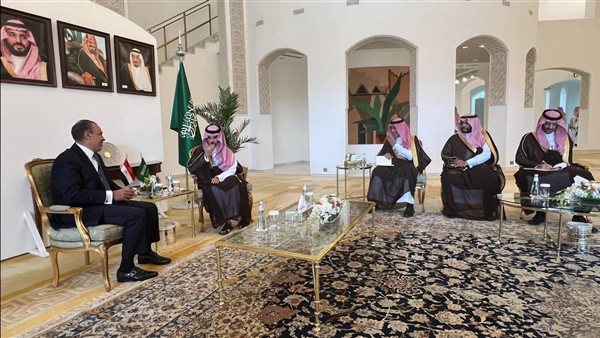 لقاء وزير الخارجية