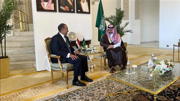  وزير الخارجية المصري