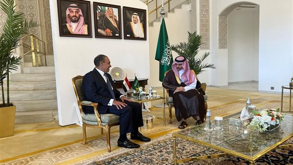   وزير الخارجية ونظيره