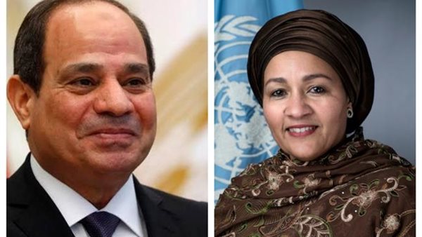 الرئيس عبد الفتاح