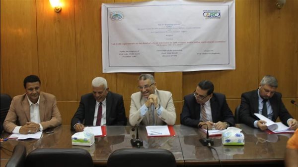 جانب من الفاعلية