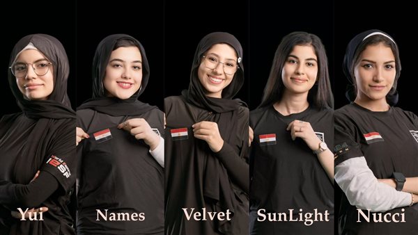 الفريق المصري