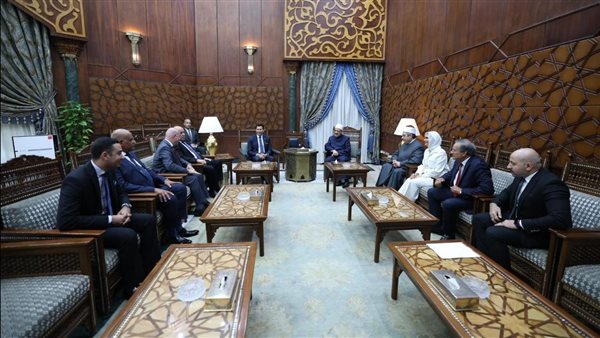 لقاء شيخ الأزهر