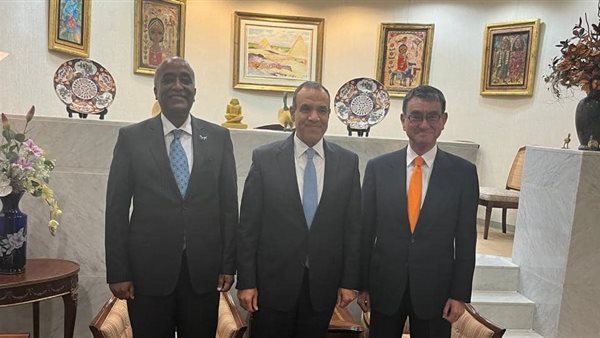 لقاء وزير الخارجية