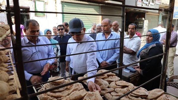 الحملات التفتيشية