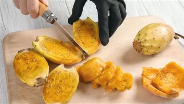 التين الشوكي