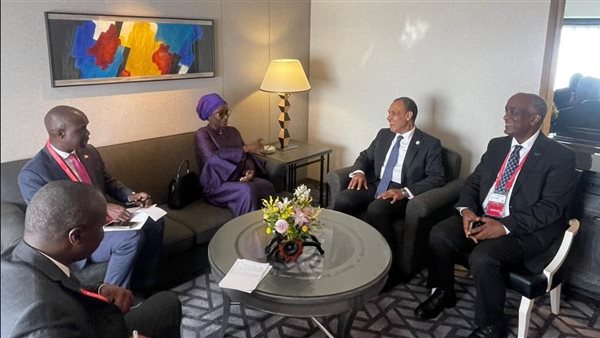 لقاء وزير الخارجية