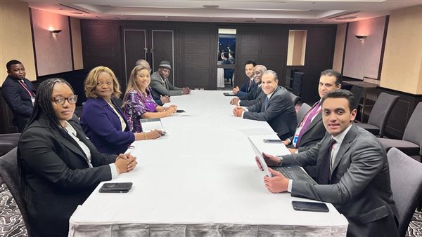 وزير الخارجية يلتقي