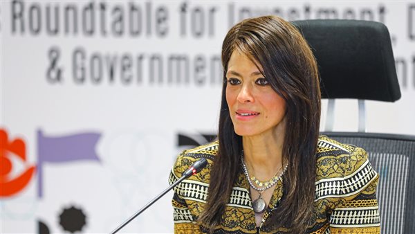 وزيرة التخطيط 