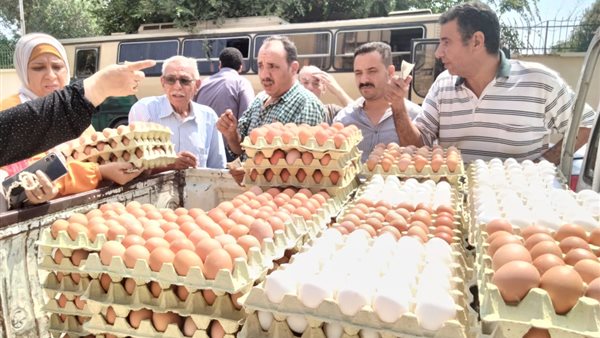 جانب من الميادرة