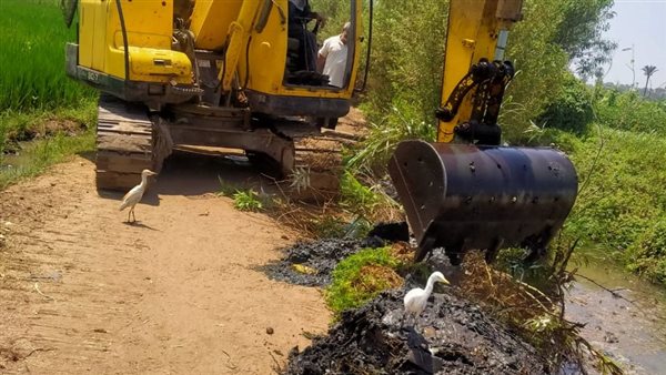 حملات تطهير المساقي