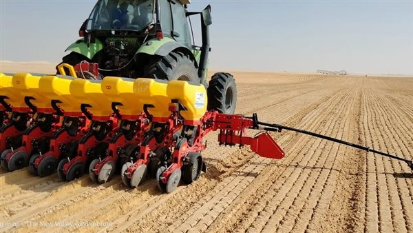 موسم حصاد الأرز