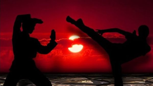 فنون قتالية 